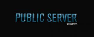 Public server [от Se...